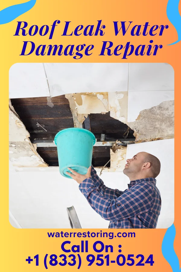 Roof Leak Water Damage Repair in Nittany, PA