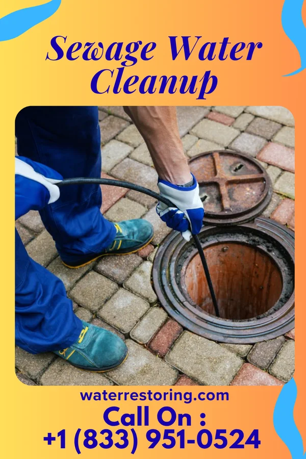 Sewage Water Cleanup in Nittany, PA