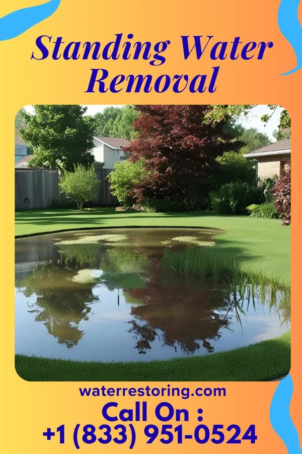 Standing Water Removal in Nittany, PA